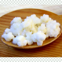 Activated Milk Kefir Grains 20g